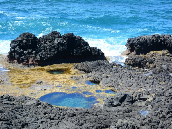 Low Tides in Choya Beach Puerto Peñasco
